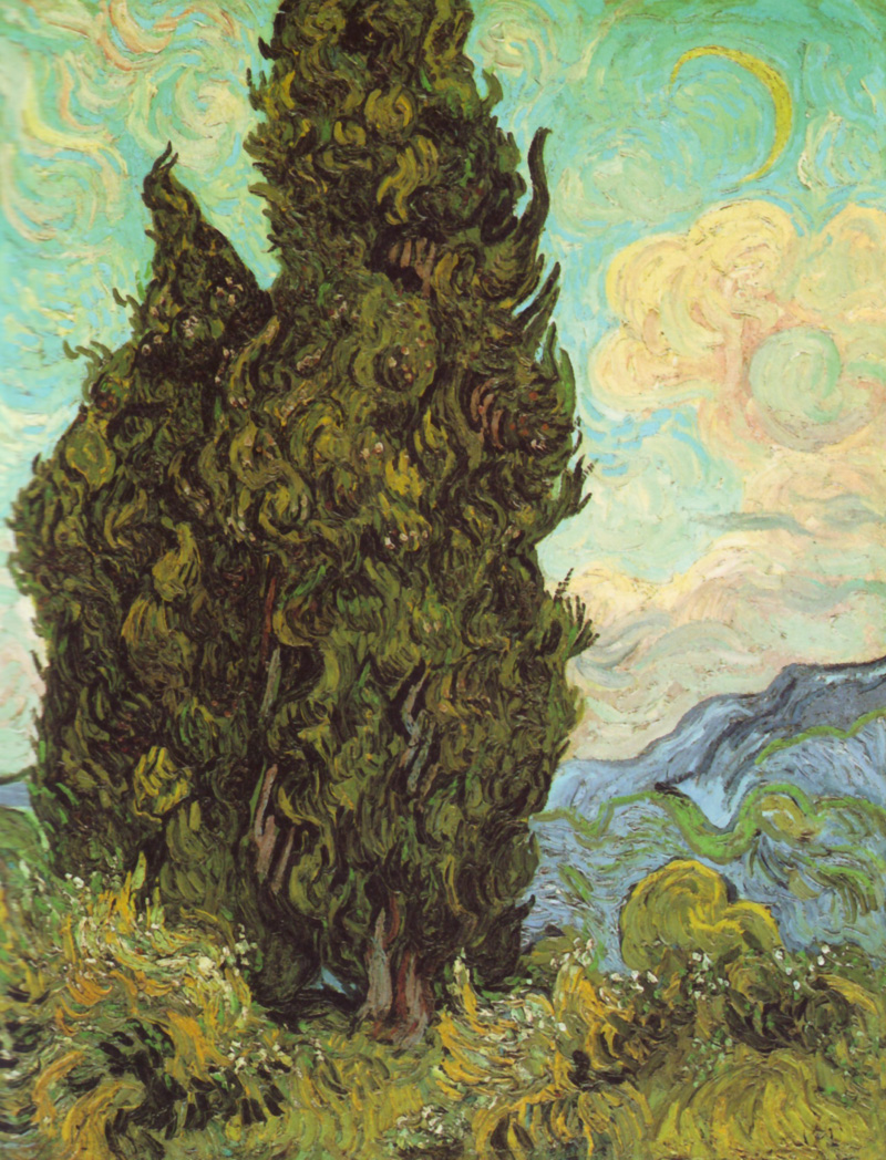 Cypresses