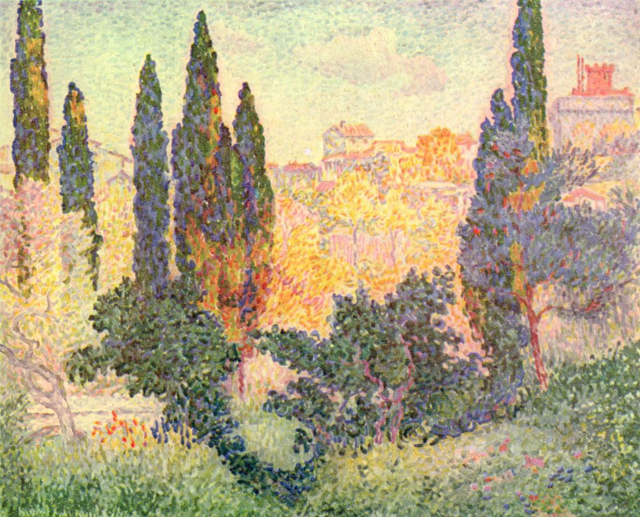 Cypresses in Cagnes