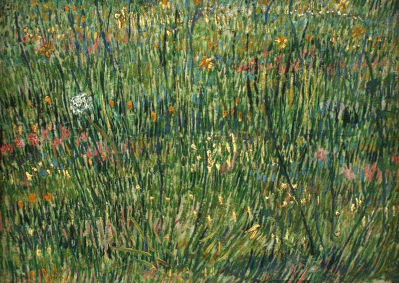 Grasgrond