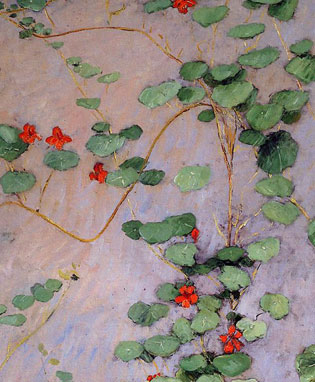 Nasturtiums