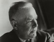 A Music of Austerity: The Poetry of Wallace Stevens